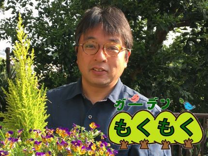 ガーデンもくもくの【年内受付中】★土日祝OK★防草シート,砂利,人工芝ご用意★防草対策ご提案の写真