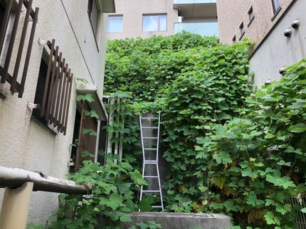 ぽのクリーンの《明るく元気に誠実に! 》体力には自信がありますので何なりとお申し付けください!の写真