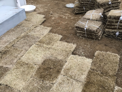 植木屋 中原造園の年中無休◆お庭のことなら何でもお任せ!ご要望に合わせて迅速丁寧に対応いたします!の写真