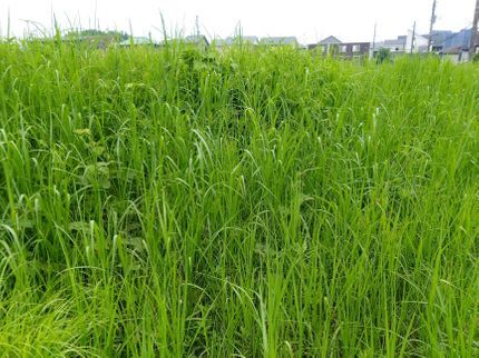 便利屋 にゃんこの手の【年中無休営業】夜間対応あり!損害保険加入済で万が一の際にも安心です◎の写真