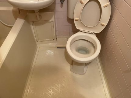 株式会社 クリスタルの女性のみ&同行作業可能・損害保険加入済み・外注無し年中無休で営業中!の写真