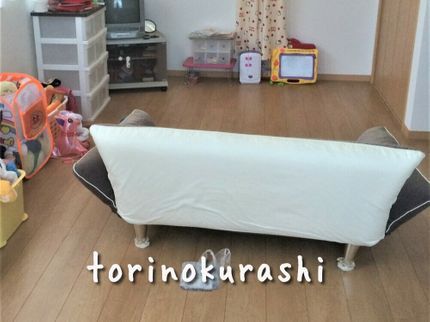 片付け専門コンサルタント!とりのくらしのクレカ・PayPay決済可《片付けコンサルタントが伺います》の写真