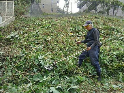 大昇造園(植木職)の【土日祝も大歓迎】やるぞ草刈り!隣家へ配慮し作業します☆損害保険加入済みの写真
