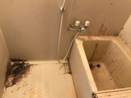 リノハンズの【不用品処分】+【原状回復】ハウスクリーニングのプロがお部屋を蘇らせます!の写真