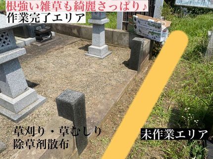 MGサービスの大切なお庭を丁寧に手作業で!簡単な剪定作業や木の伐採も承ります。の写真