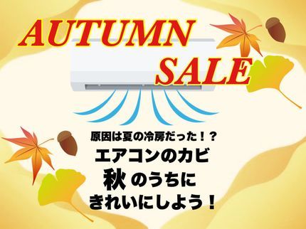 ハウスエースの【総合ランキング上位店舗】◎損害保険◎大手出身◎即日対応◎即レス◎口コミ高評価の写真