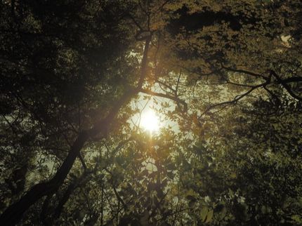 四国・香川県での写真撮影ならタカハシヒロユキの一生に残る一瞬を動画で残したいお客様へ◎の写真