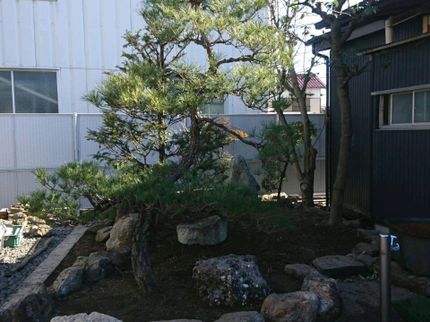 丸新の年中無休!!お庭のことなら丸新へ!!ぜひご相談ください!!の写真