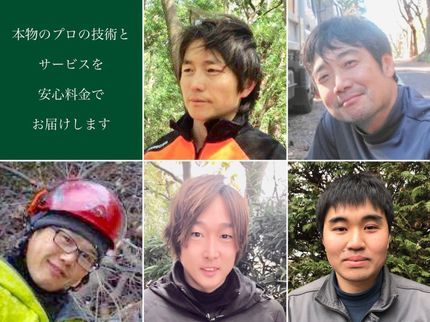 有限会社 関野造園の巨木の剪定は弊社にお任せください! 勿論,個人様宅の小さな庭木手入れにも対応◎の写真