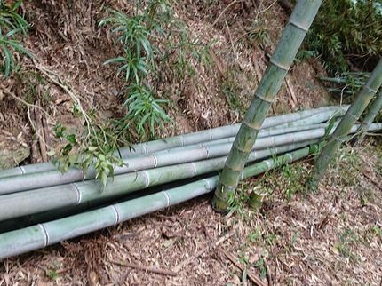 武島建装の【100%自社対応】業界歴22年の実績◆年中無休営業◎豊富な経験と知識で安心!の写真