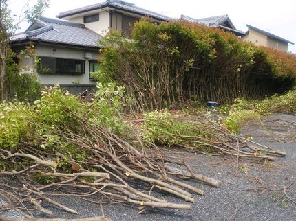 緑彩ガーデンの伐採 抜根に自信あります。の写真