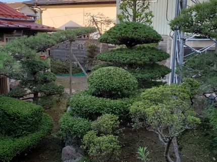 ビューティフルガーデンOGの庭木の剪定、植木の伐採等お客様に伺いながら対応いたしますの写真