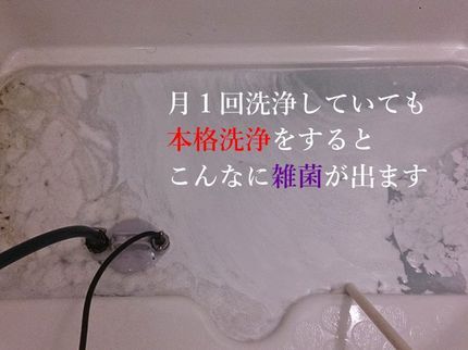 プロのおそうじ こあのジャ〇では安心できないお客様へ、プロによる配管洗浄で雑菌撃退!の写真
