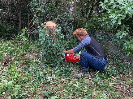 堀造園の【地域密着】外注作業一切なし!1本のご依頼もお気軽にご相談ください!の写真