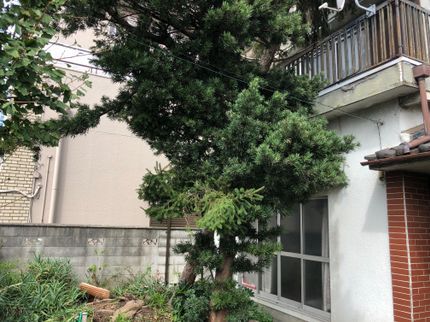 株式会社ユースの《女性スタッフ同行可◎》万が一の損害保険加入済み!あなたの生活のパートナーへの写真