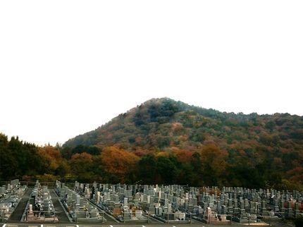 ジェイ・ウォーカーのみなさまのくらしに『キレイ!』をお届けします!兵庫県内☆年中無休で対応!!の写真