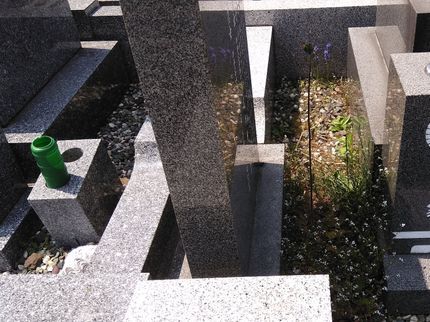 ブライトフューチャーサポートの宮城県密着◎安心親切丁寧 お墓参りお掃除代行の写真