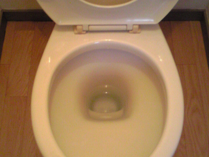 光彩クリーンのスミズミまでピカピカに!トイレクリーニングの写真