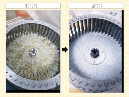 おそうじジュンジュンの換気扇10000円(プロペラタイプ)の写真