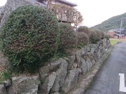 エコボスコ合同会社の☆京築地区☆プロがお伺いします!ご要望に合わせ対応します◎の写真