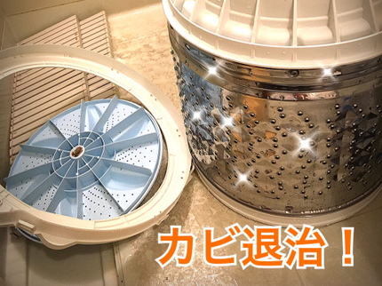 ハタナカ美掃の【コロナ対策実施中】黒カビは分解のプロにお任せ!口コミ高評価★東京神奈川千葉の写真