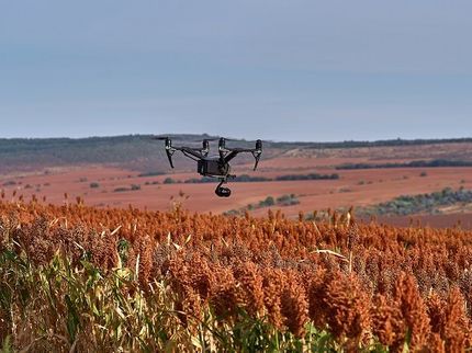 Air Worksの【業歴5年以上の実績】記念に残したい大切な瞬間を逃しません。の写真