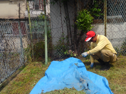 よっすぃ~農園緑化事業部の【造園業14年☆庭園管理士】微生物を育てるところから土作りの技術を生かします!の写真