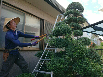 成和造園の【兵庫県内にて対応☆業界20年以上!】当店スタッフが豊富な経験を活かして対応!の写真
