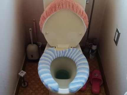 ゲッコー商会のトイレクリーニングの写真