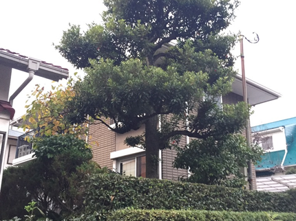 ネコとスコップの《女性スタッフ対応可》早朝・深夜の予約も追加料金は一切なし★駐車場代は当店負担★の写真