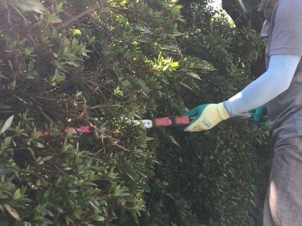 快適工房 西利のお庭手入れにお困りなら、まずはご相談下さい! 女性スタッフ同行可能ですの写真