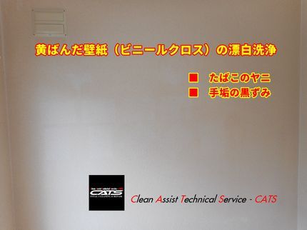 クリーンアシストテクニカルサービスの旭川の壁紙・ビニールクロス漂白洗浄 自社対応◎営業時間外予約も相談OK◆年中無休の写真