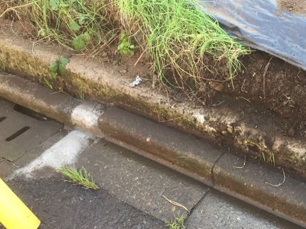 何でも屋、便利の<年中無休>幅広く対応している便利屋さん!有料駐車場代は当店が負担します◎の写真