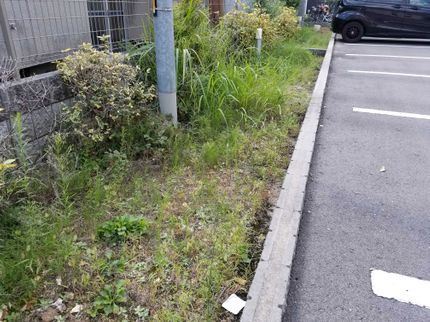 山中大東造園の祖父と作業します(^^)剪定・伐採・草引きと草刈り・害虫駆除と予防・防草シートの写真