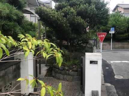 ケイ・エス企画の庭木の剪定高いところも御安心!の写真