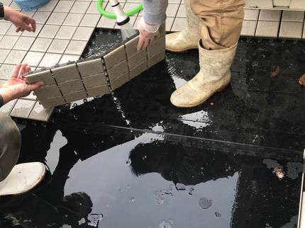 (株)新綺サービスの業界歴15年 損害保険加入済 作業に満足いただけない場合、全額返金致します!の写真