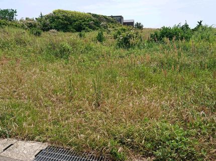 住まいるアシストの【草刈り(草刈り機)】暮らしの困りごと笑顔に解決します♪便利屋住まいるアシストの写真