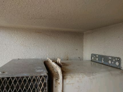 まごころサービスの【6月14日~作業依頼受付中】鳩の糞を完全除去!除菌、消臭もしっかり!【鳩専門】の写真