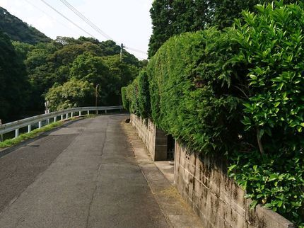 エコクリアースの<佐賀県 杵島郡発◎地域密着>プロに任せてスッキリ快適◇ご要望にお応えします!の写真