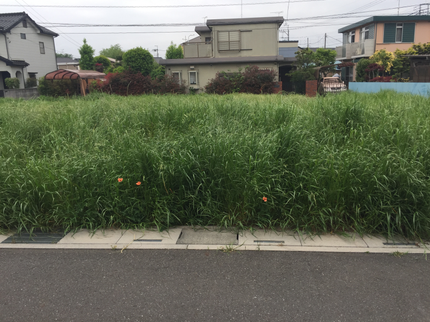 めかめら舎の《24時間対応可能!》作業外注は一切なし◎全力でお客様の要望にお応えします★の写真