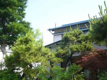 りぶれアメニティサービスの★2級造園施工管理技士在籍★確かな技術と経験でお客様に満足してもらえるよう努力!の写真