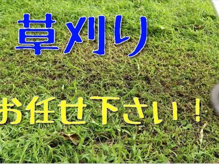 一輪〜いちりん〜の剪定、伐採、抜根の組み合わせ可能です!の写真