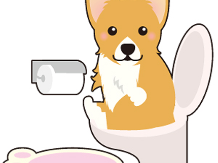 おそうじONE!のトイレクリーニングの写真