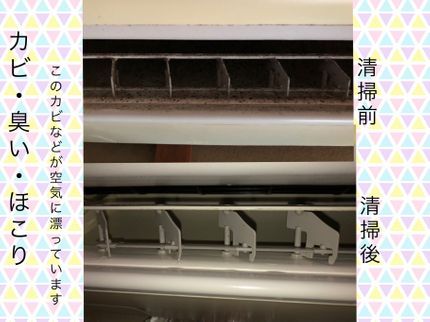 行列のできる美掃屋本店の【損害保険加入済み◎女性スタッフ同行可能】対応地域外の予約も相談・対応可能です!の写真