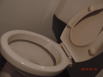 クリンネス宮本の嫌な臭いやカビも徹底敵に除去!【トイレのクリーニング】の写真