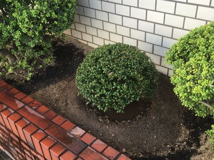 大久保商店 お庭番守の<年中無休>植木の植え替えおまかせ下さい!実績豊富なスタッフがお伺いします◎の写真
