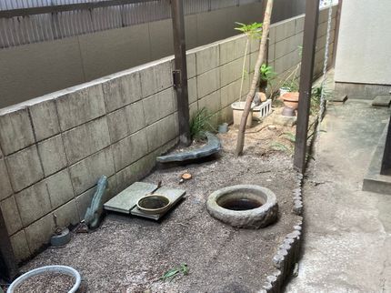 大久保商店 お庭番守の<年中無休>植木の植え替えおまかせ下さい!実績豊富なスタッフがお伺いします◎の写真