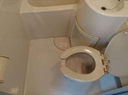 花美装のトイレクリーニング☆の写真