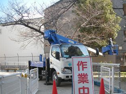 大阪サクラ造園の【枝葉 回収無料】経験年数15年◆スピーディにご対応しますの写真