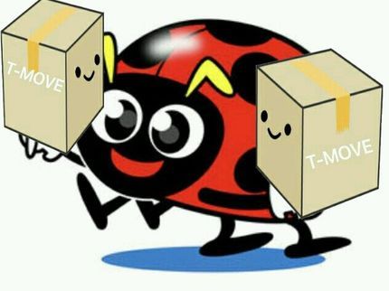 T-MOVEのお客様に「満足」して頂くサービスを!!口コミ高評価持続中♪追加料金なし♪の写真